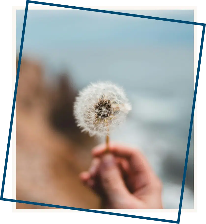 holding white dandelion