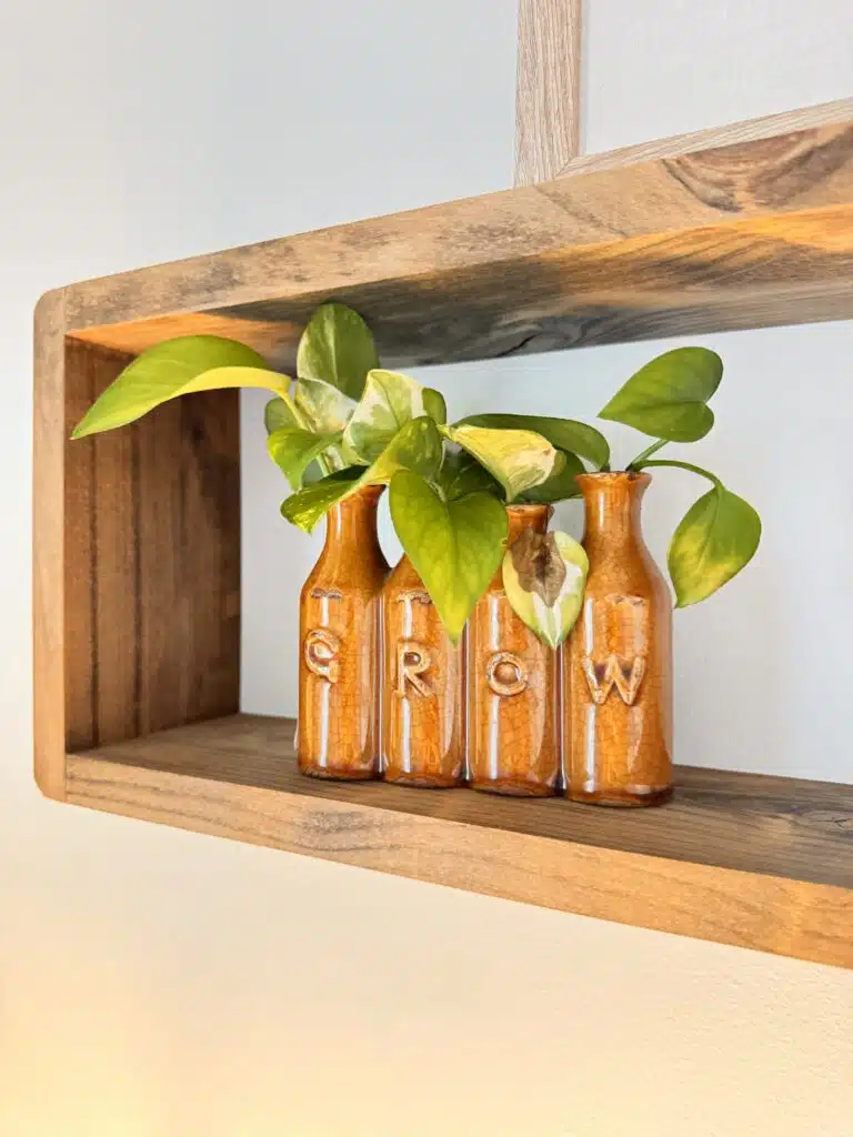 Vase with the word grow as a metaphor for trauma growth