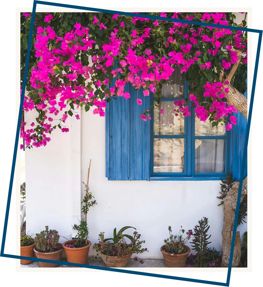 Italian cottage with bougainvillea flowers representing peaceful mindfulness practiced in DBT therapy sessions Atlanta Georgia