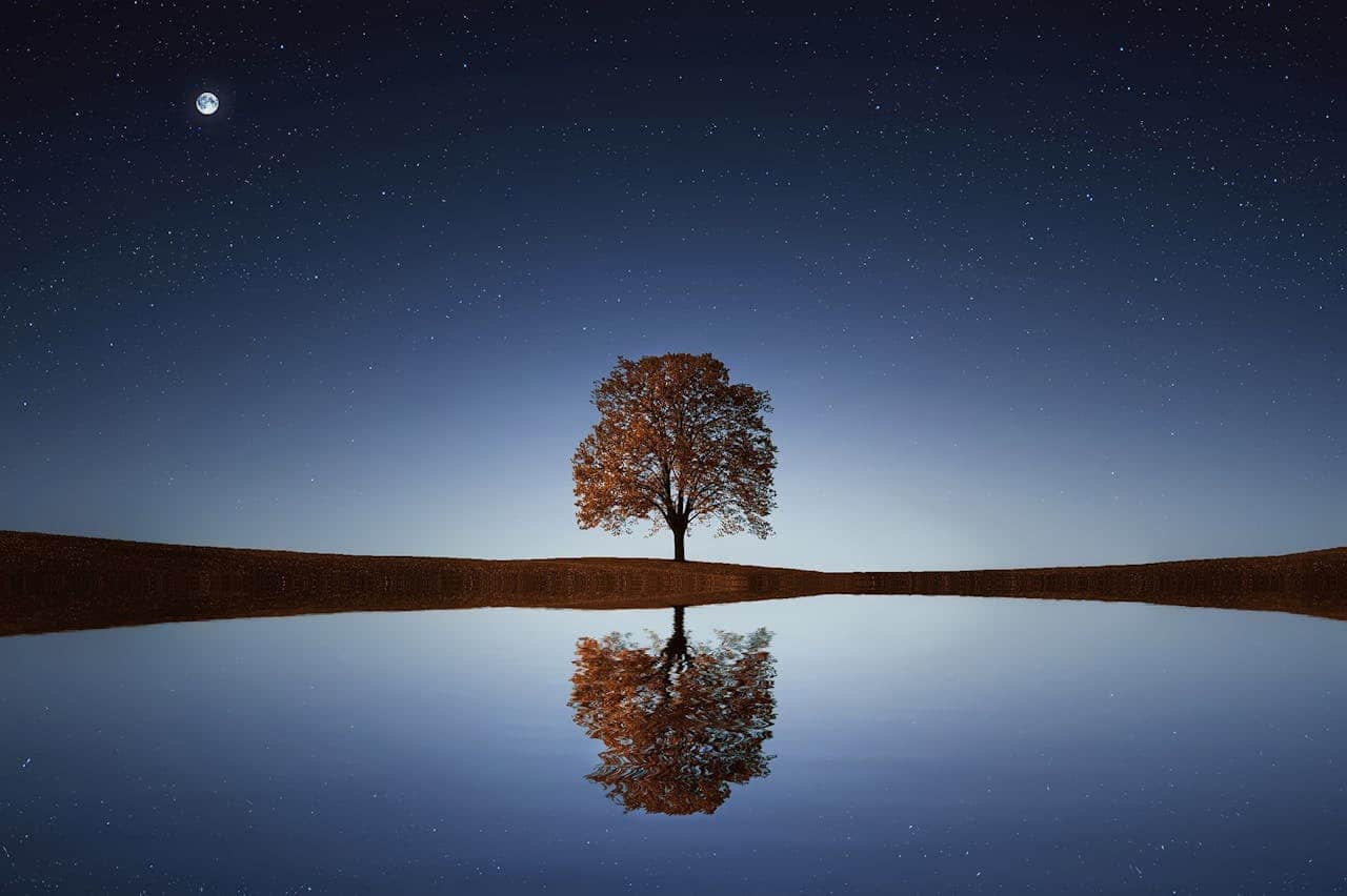 Single tree reflected in still water under a starry night sky, representing calm, healing, and emotional support in depression therapy.
