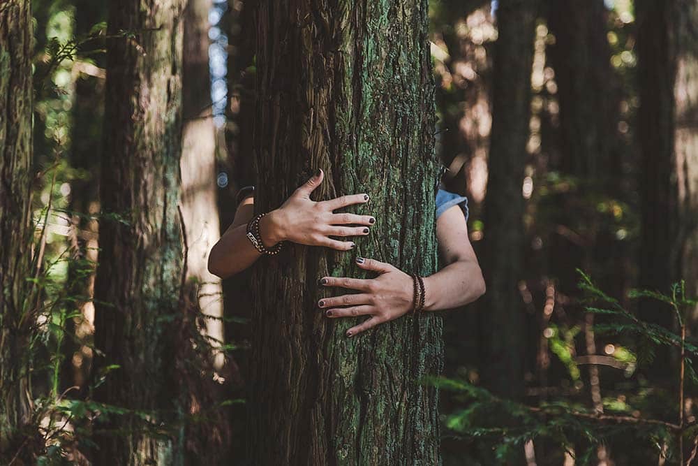 Hands wrapped around a tree trunk, a tactile moment expressing grounding and connection with nature