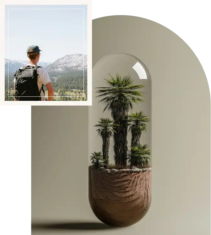 A small plant is placed against a minimalist wall, creating a calm and simple indoor setting