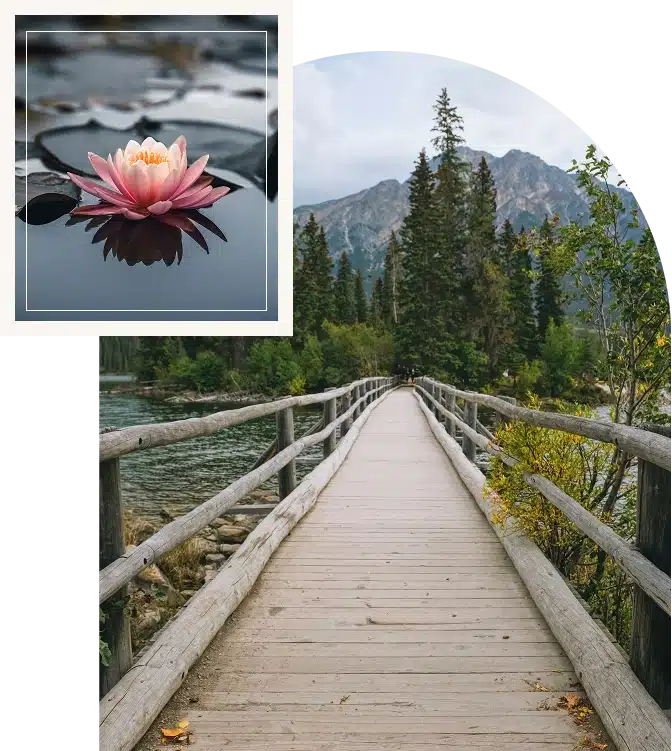  A bridge in a forest over a flowing river symbolizes transition, connection, and moving forward.